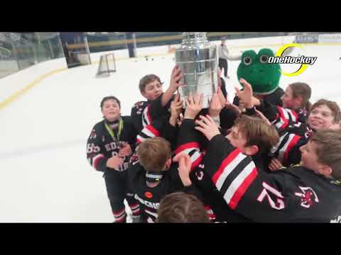 What is OneHockey? — video